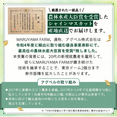 【発送月固定定期便】【農林水産大臣賞受賞!!】山梨のシャインマスカット1房0.5kg以上全2回