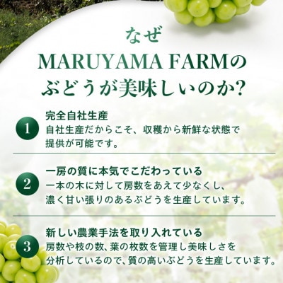 【発送月固定定期便】【農林水産大臣賞受賞!!】山梨のシャインマスカット1房0.5kg以上全2回