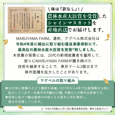 【発送月固定定期便】【訳アリ】山梨のシャインマスカット2房1kg以上全3回