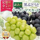 【発送月固定定期便】【訳アリ】山梨の黒ぶどうとシャインマスカット全2回