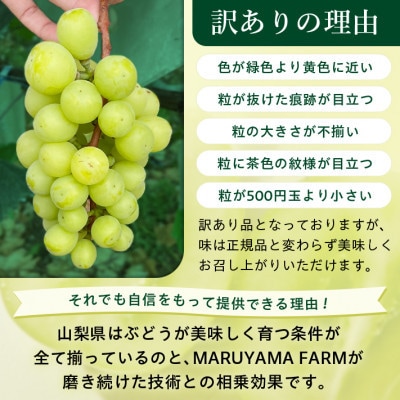 【発送月固定定期便】【訳アリ】山梨の黒ぶどうとシャインマスカット全2回