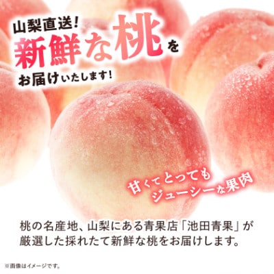 【2027年(来年)発送】 桃 約3kg (8玉～12玉) 厳選 ! 池田青果の もも