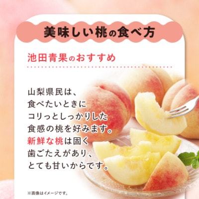 【2027年(来年)発送】 桃 約3kg (8玉～12玉) 厳選 ! 池田青果の もも