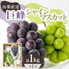 【2026年先行受付】シャインマスカット 巨峰 2種セット 大人気ぶどう2種盛り合わせ計1kg以上