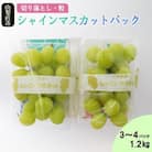 【訳あり】池田青果のパックシャインマスカット 1.2kg(3～4パック)