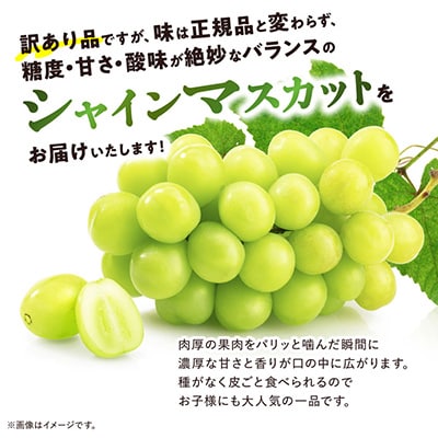 【訳あり】 池田青果のシャインマスカット2房～3房　1kg ふるさと納税