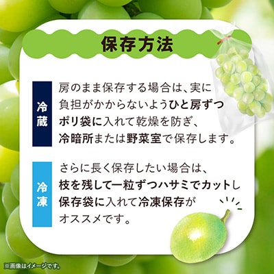 【訳あり】 池田青果のシャインマスカット2房～3房　1kg ふるさと納税