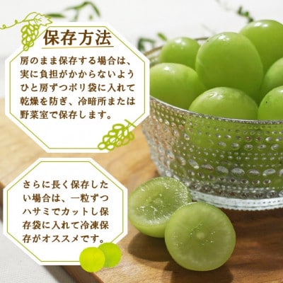 【訳あり】 池田青果のシャインマスカット2房～3房 1.1kg ふるさと納税