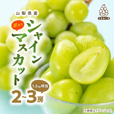 【訳あり】池田青果のシャインマスカット2房～3房1.2kg相当ふるさと納税