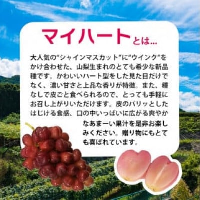 【2025年9月上旬より発送予定】マイハート1房 500g以上 ハート形のかわいい葡萄