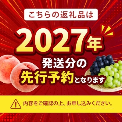 2027年(来年) 発送【訳あり】桃 2kg以上