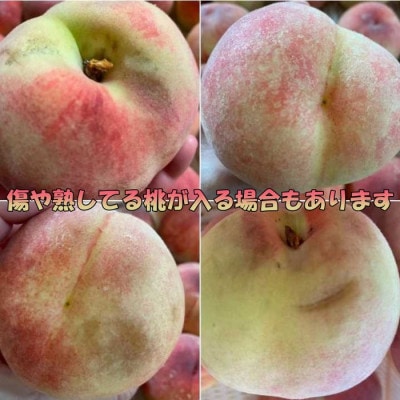 訳あり 桃2kg以上