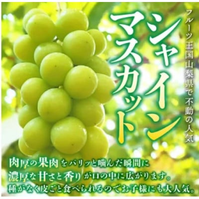 【発送月固定定期便】桃2kg(5～8玉)　黒ぶどう1房　シャインマスカット2房1kg以上全3回