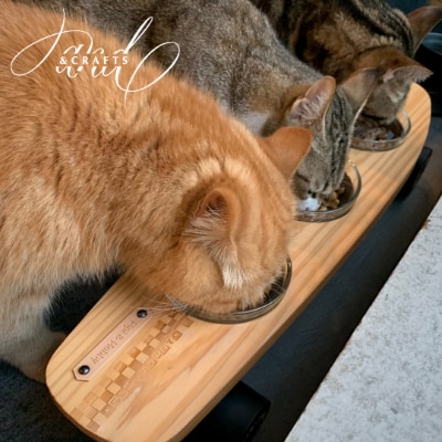 【&CRAFTS】Pet bowls stand-3BOWLS-(Red)※名入れプレート付き