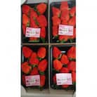 【いちご280g×4パック】坂の上のいちご 山梨県山梨市産