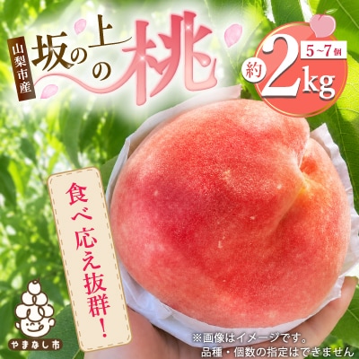 2026年発送【旬の桃 約2kg 5～7玉】 坂の上の桃 硬くて甘い! 食べ応え抜群!