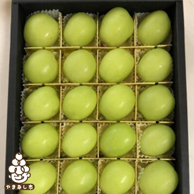 【オリジナル化粧箱24粒入】シャインマスカット 山梨県産