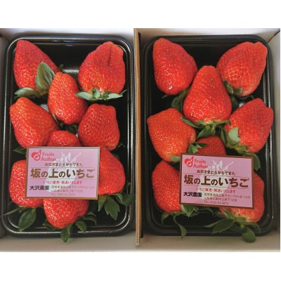 山梨県産坂の上のいちご280g×2