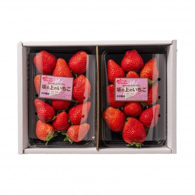 山梨県産坂の上のいちご280g×2