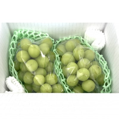 【シャインマスカット約1kg 2～3房】