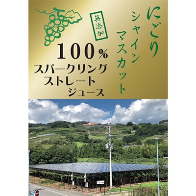 【数量限定】シャインマスカット果汁100%ジュース2種 ストレート スパークリング 各300ml
