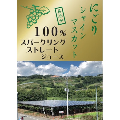 シャインマスカット果汁100%ストレート・スパークリングぶどうジュース2種 各300ml