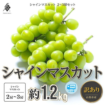 【先行受付2026年発送】 シャインマスカット 2～3房(計約1.2kg)【訳あり】
