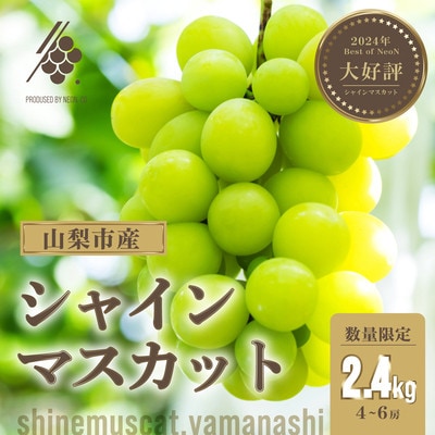  シャインマスカット 4～6房(計約2.4kg)【訳あり】