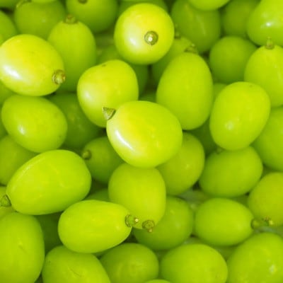  シャインマスカット 粒 600g 【訳あり】 ご家庭用 ぶどう 粒カット