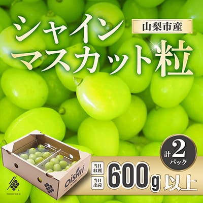 【先行受付2026年発送】 シャインマスカット 粒 600g オーバー 【訳あり】 ぶどう 粒カット