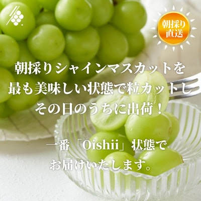 シャインマスカット 粒 600g オーバー 訳あり ぶどう 粒カット