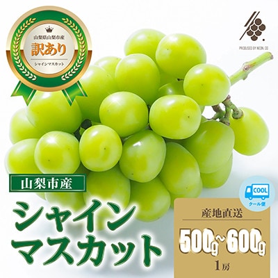 【先行受付2026年発送】 シャインマスカット 1房(約500g～600g) 【訳あり】