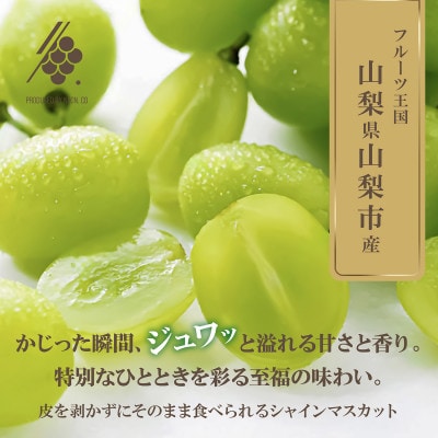 【先行受付2026年発送】 シャインマスカット 1房(約500g～600g) 【訳あり】