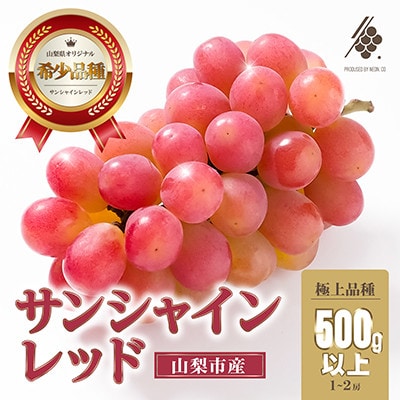 【先行受付2026年発送】 サンシャインレッド 1房～2房 (500g以上) 山梨県オリジナル品種