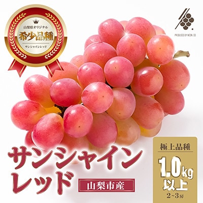 【先行受付2026年発送】 サンシャインレッド 2房～3房 (約1kg) 山梨県オリジナル品種