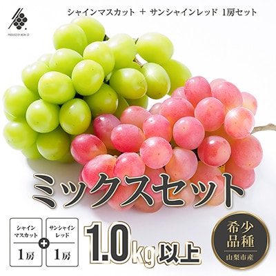 【先行受付2026年発送】 シャインマスカット 1房 & サンシャインレッド 1房 (計1kg以上)