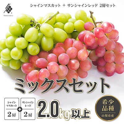 【先行受付2026年発送】 シャインマスカット 2房 & サンシャインレッド 2房 (計2kg以上)