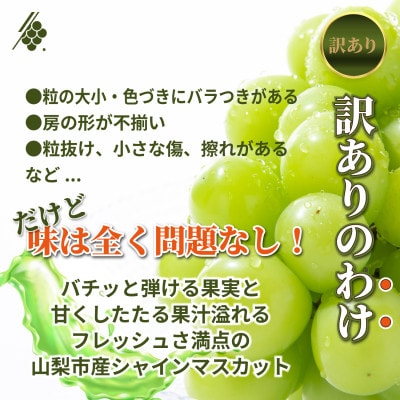 【2027年発送 先行受付】 シャインマスカット 粒 約2.8kg 訳あり ぶどう 粒カット