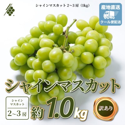 シャインマスカット 2～3房 計1kg 訳あり ご家庭用