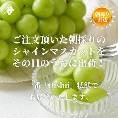 【2027年発送 先行受付】 シャインマスカット 2～3房 計1kg 訳あり ご家庭用