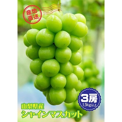 山梨市産シャインマスカット　3房(1.5Kg以上)