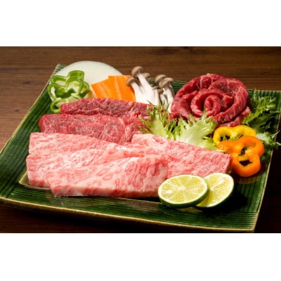 【山梨県産 富士山麓牛】霜降り(約200g)・赤身焼き肉(約400g)セット 焼肉・バーベキュー用