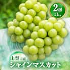【2026年発送 先行受付】農福連携 シャインマスカット2房(合計1kg程度)