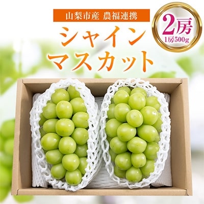 【先行受付】山梨市産農福連携シャインマスカット2房(1房500g)