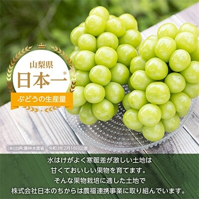 【先行受付】山梨市産農福連携シャインマスカット2房(2房合計1kg程度) ふるさと納税