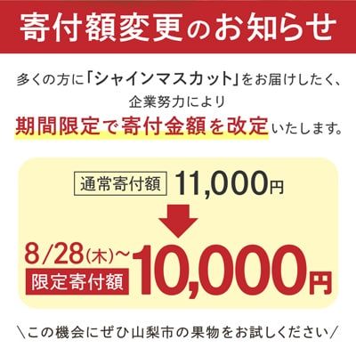 農福連携 シャインマスカット2房(2房合計1kg程度)山梨市【ふるさと納税】