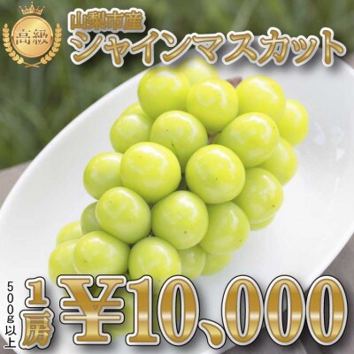 山梨市産農福連携シャインマスカット1房(1房500g以上)
