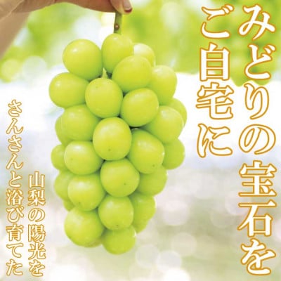 山梨市産農福連携シャインマスカット1房(1房500g以上)