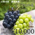 山梨市産農福連携 シャインマスカット&黒系ぶどう 各1房(2房合計1kg程度)