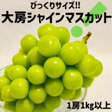 【!ビックリ!】大房シャインマスカット【1房1kg以上】